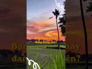 👉4 #digiu #congngheai #trituenhantao #dautuai #ai #blockchain