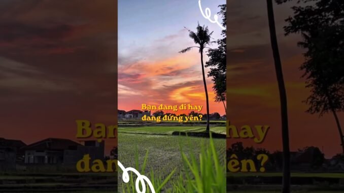 👉4 #digiu #congngheai #trituenhantao #dautuai #ai #blockchain