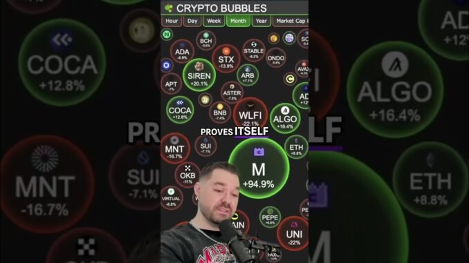 AI Cryptos Will Be The Next Wave of 100x's $TAO