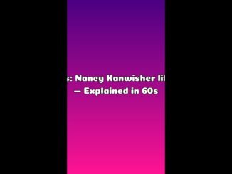 AI News: Nancy Kanwisher life story — Explained in 60s