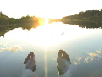 AI workflows for software developers and the need for oversight