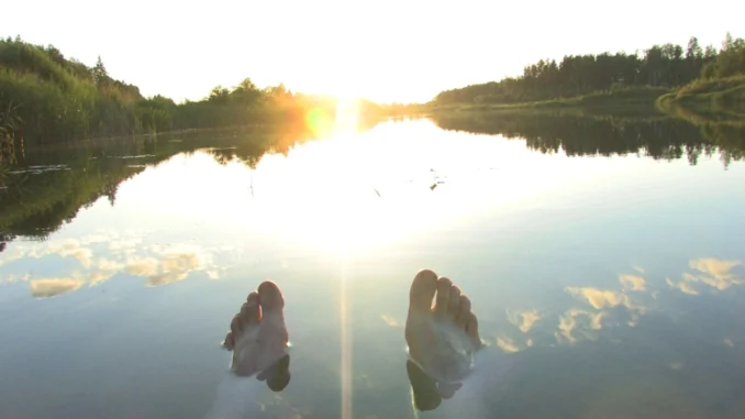 AI workflows for software developers and the need for oversight