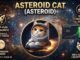 ASTEROID CAT on Pump fun  The Next Meme Coin to Hit the Moon
