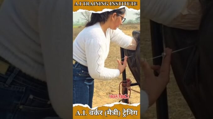Artificial Insemination Training | AI Training for Beginners | Learn Step by Step पशुपालन ट्रेनिंग |