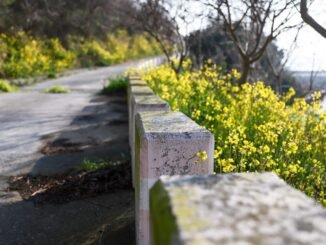 Asylon and Thrive Logic bring physical AI to enterprise perimeter security