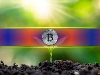 BTC Open Interest Drops 50% Leaving Market Primed for a Big Move