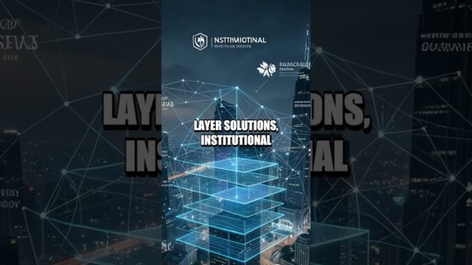 Bitcoin Anchors and New Frontiers A Practical Guide for All Investors