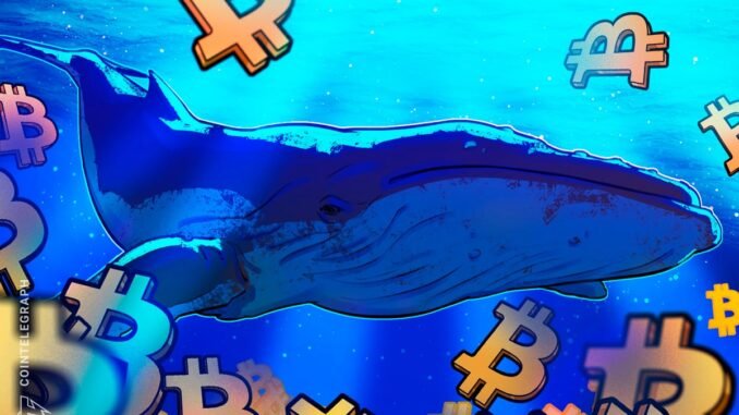 Bitcoin Eyes $90K As Whales Devour 20x Daily BTC Supply In Just 30 Days
