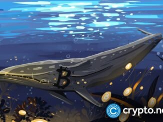 Bitcoin bottom or bull trap? Whales and bears disagree - 1