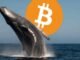 Bitcoin flirts with $72K while a whale bets $80M it won’t last