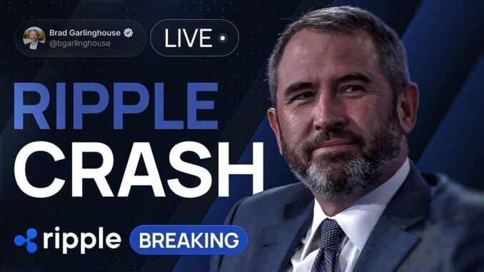 Brad Garlinghouse on Crypto Clarity Act - Ripple Crash Explained! XRP Price Analysis