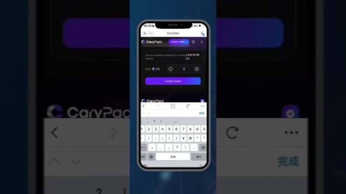 COMO PARTICIPAR NA MINERAÇÃO CARYPACT