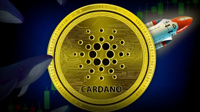 Cardano At Make-Or-Break Level As Whales Accumulate At 4-Month High Coinpedia - Fintech & Cryptocurreny News Media