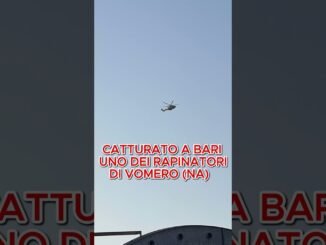 Catturato Finalmente…!!⚠️ #catturato #news #viralvideos #virals #fakesituation #ai #meme #deepAImeme