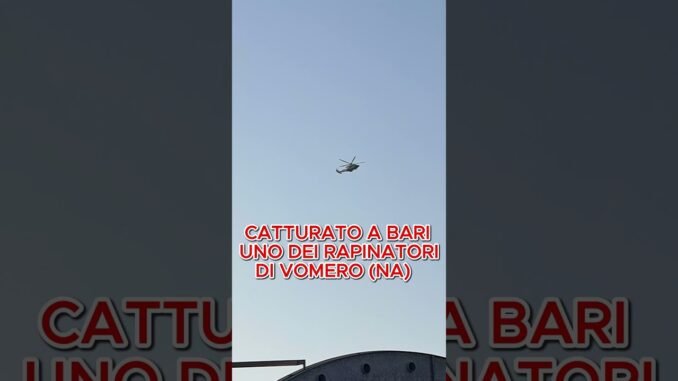 Catturato Finalmente…!!⚠️ #catturato #news #viralvideos #virals #fakesituation #ai #meme #deepAImeme
