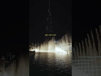 Common mistakes that cause beginners to lose their entire po #crypto