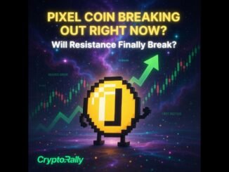 Did Pixel Coin just hit a new all-time high?