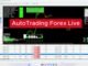 Forex Trading Robot 2026 💰 Passive Income with AI Bot(Beginner Friendly Auto Trading)#trading #forex