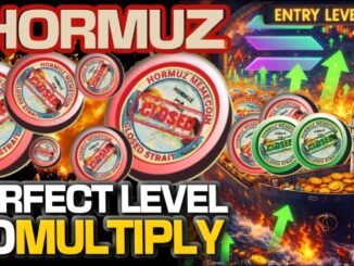 $HORMUZ COIN ON SOLANA IS AT A PERFECT LEVEL TO MULTIPLY YOUR BAG!!!