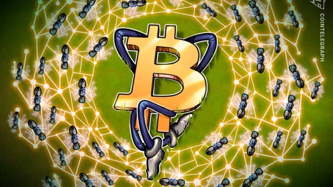 Iran War Cuts Local Hashrate but Global Bitcoin Network Holds Firm