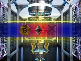 Ranking the Most and Least Quantum-Resistant Assets