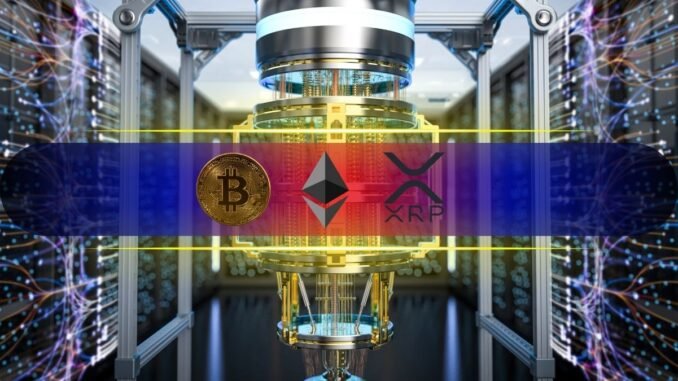 Ranking the Most and Least Quantum-Resistant Assets