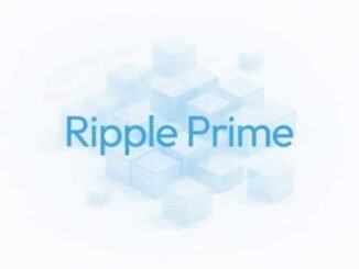 Ripple Prime earns BBB rating from Kroll, reflecting robust capital support and early profitability