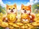 Shiba Inu Dogecoin