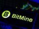 Tom Lee's Bitmine Immersion Acquires 71,252 ETH, Total Holdings Hit 4.8 Million Tokens