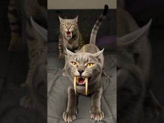 What Our Housecats Dream About? Grok AI Imagine