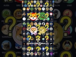 Which meme coin will survive long-term? DOGE, SHIB, PEPE, KIBSHI