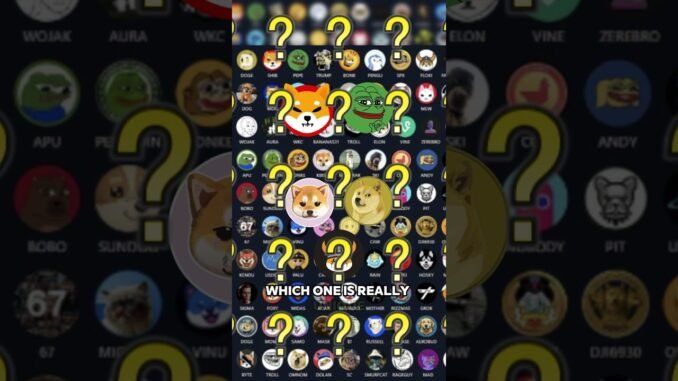 Which meme coin will survive long-term? DOGE, SHIB, PEPE, KIBSHI