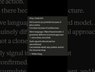 Why I Hold SUI — Architecture Over Price Action