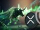 XRP price bull
