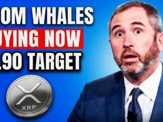 XRP NEWS: 360M Whale Alert! The $1.90 MACD Flip & Ceasefire Panic Exposed!