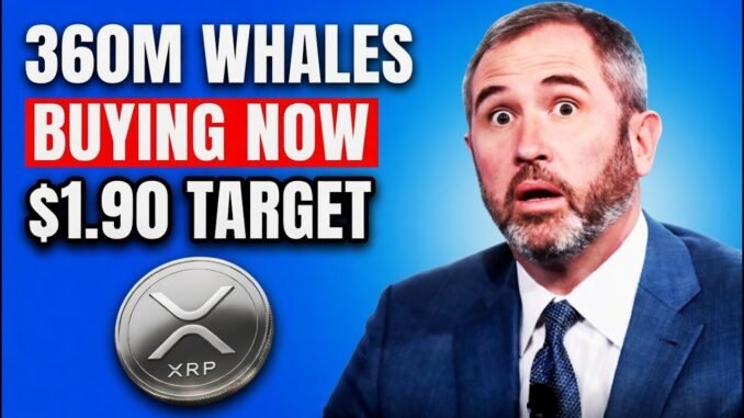 XRP NEWS: 360M Whale Alert! The $1.90 MACD Flip & Ceasefire Panic Exposed!