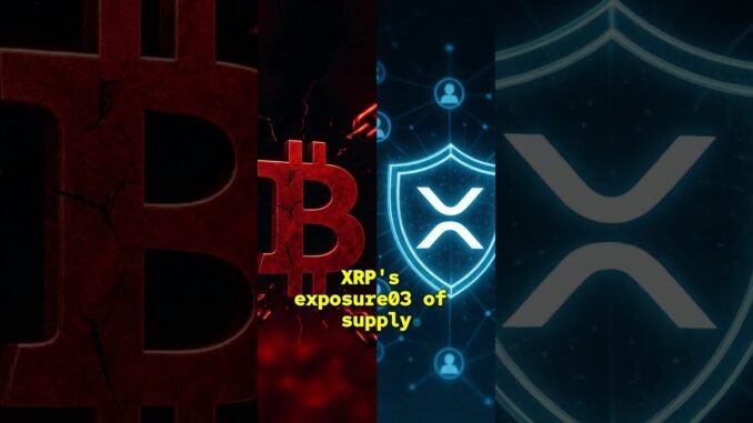 Xrp News Today: Quantam Proof #shorts #xrp
