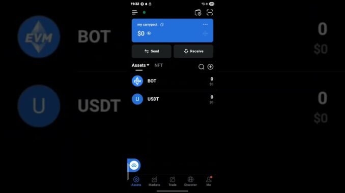 how to add USDT (BOT Chain) in your web3 wallet for CaryPact