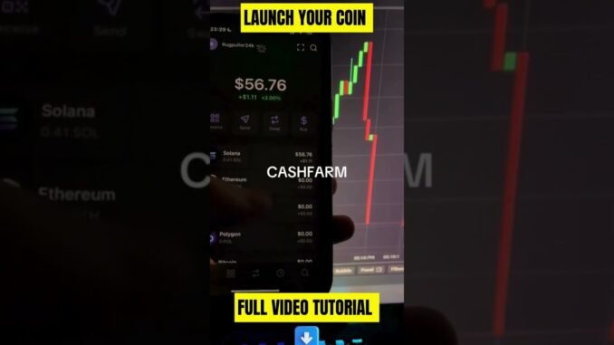 i launch my own coin and rugg it and make insane profit so easy  #memecoin