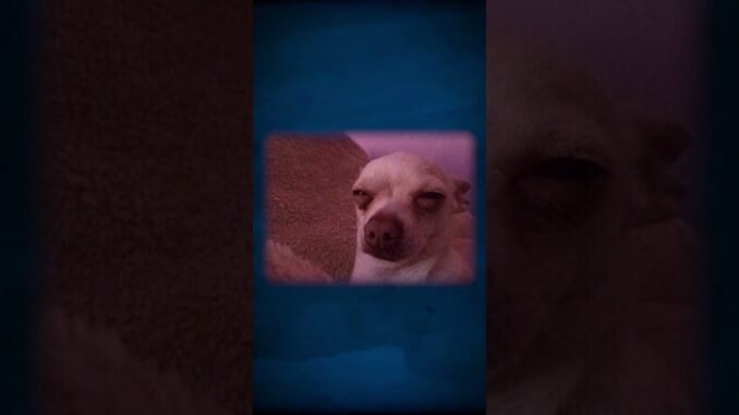 عينك بتضحك عليك ومش واخد بالك! 👀#اكسبلور #chatgpt #معلومات_عامة #خدعة_بصرية