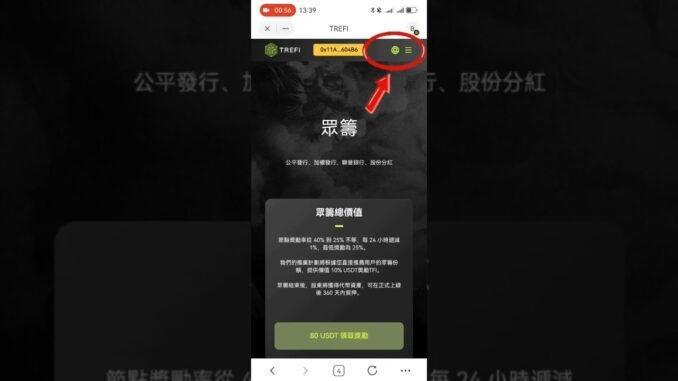 如何查看自己的資產是否正確的操作流程#web3