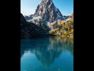 山水一色  grok AI 製作