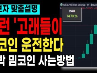 밈코인을 운전하는 고래들은 따로 있습니다! 대박 밈코인 구별방법/사는방법, 하나부터 열까지 모두 알려드릴게요
