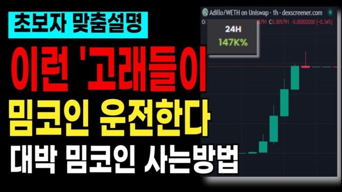 밈코인을 운전하는 고래들은 따로 있습니다! 대박 밈코인 구별방법/사는방법, 하나부터 열까지 모두 알려드릴게요